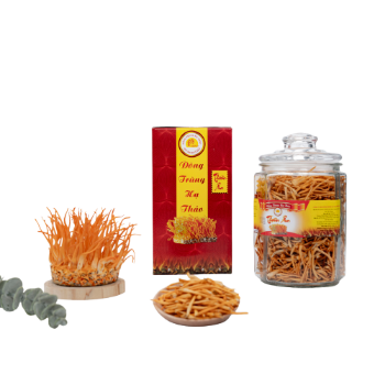 Freeze Dried Cordyceps Militaris High Quality Precious Food Using For Drink ISO Packing In Jar Made In Vietnam Manufacturer