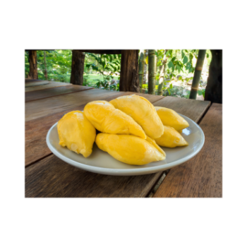 Frozen Durian Good Taste Top Sale Natural IQF Frozen Cheap OEM Sweet Bulk Style Storage Dice Packaging Weight 1