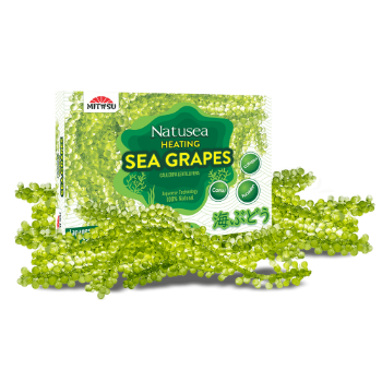 Heating Sea Grapes 99% Fresh Reasonable Price 25Gr/Pack Mitasu Jsc Paper Box Vietnam Manufacturer 8