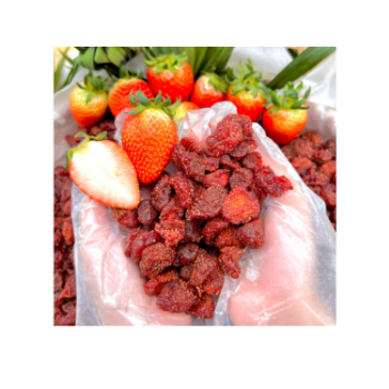 Dried Strawberry Chocolate Original Cheap Price Snack Sweets Decoration Iso Custom Packing Vietnamese Factory Wholes 4