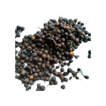 Black Pepper For Sale Hot Selling No Preservatives Using For Food Top Selling Product Customized Packing Vietnam Manufacturer 7