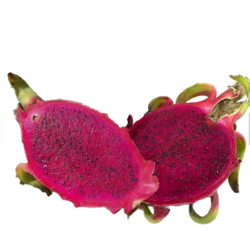 Vietnam Dragon Fruit Best Choice Delicious Making Food Bulksales Carton Box Plastic Wrap Vietnam Manufacturer 5