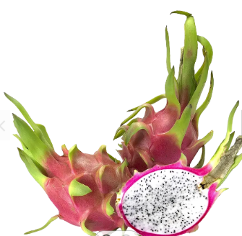 Tropical Dragon Fruit Best Choice Sweet Making Food Bulksales Carton Box Plastic Wrap From Vietnam Manufacturer 1