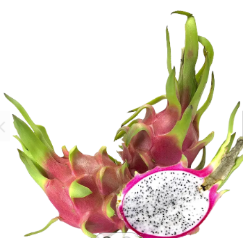 Tropical Dragon Fruit Best Choice Sweet Making Food Bulksales Carton Box Plastic Wrap From Vietnam Manufacturer