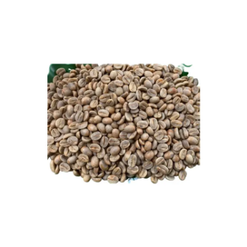 Vietnam Arabica Coffee Grade 1 Raw Coffee Beans Natural Using For Making Food And Beverage No Additives From Vietnam 4