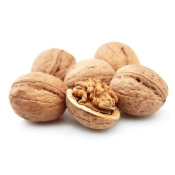 Wholesale Dry Fruits Walnuts Raw Walnuts Kernels Grade Sweet Taste For Sale Customized Packing From Vietnam Manufacturer 6