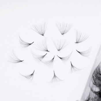 Eyelash Extension Top 10D Premade Fans Eyelash Eyelash Extensions Premade Fans Using For Daily Makeup Tray Packaging 2