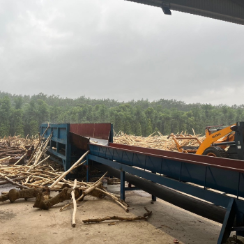 Acacia Wood Chips Wholesale Fast Delivery Natural Wood Material Heating System Bulk In Container Made In Vietnam Manufacturer 2