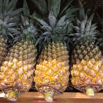 The New Fresh Pineapple 100% Natural Sweet Tropical & Sub-Tropical Fruit Packed In Box Made In Vietnam Manufacturer 4