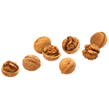 Wholesale Dry Fruits Walnuts Raw Walnuts Kernels Grade Sweet Taste For Sale Customized Packing From Vietnam Manufacturer 5