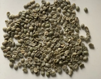 Arabica FW L3 S16+ Raw Coffee Beans First Class Good Choice Natural Using For Making Food And Beverage No Additives 3