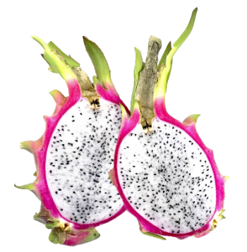 Rich Fiber Fresh White Dragon Fruit Sweet Export Bulksales Using For Food Carton Box Wooden Packaging Vietnam Manufacturer 6