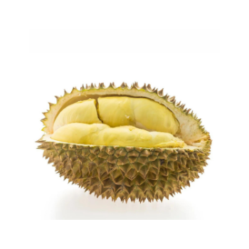 Hot Item Fresh Durian Monthong Eat Directly Sweet And Fatty Taste Organic Packed In Box Vietnam Manufacturer 2