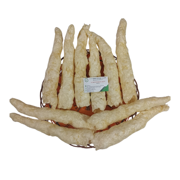 Baked Fish Maw Suppliers Tube Shape Factory Price Best Seller Nutritious 100% Bladder Fish High Quality Made In Vietnam 2