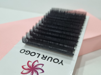 Hot Selling CAMELLIA Tray Eyelashes Semi-Hand Made Using For Personal Care Different Colors From Vietnam Manufacturer 1