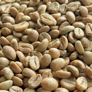 Arabica Coffee Beans Wholesale Green Coffee Bean Price Premium Bulk Green Coffee Beans OEM ODM Made In Vietnam