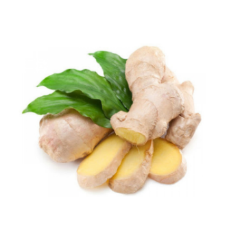 Good Quality Hot Ginger Shampoo Natural Fresh High Nutrients Organic Natural Yellowish Made In Vietnam Manufacturer 1