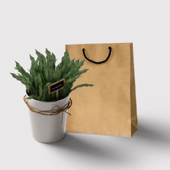 Hot Selling Wholesale Shopping Accessories Brown Kraft Paper Recycled Materials Customized Logo Customized From Vietnam 1