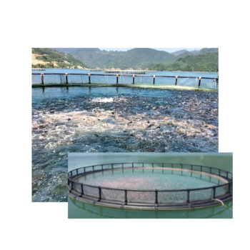 Floating Fish Cage Cheap Price Secure Aquatic Research Center Floating Round Cage Custom Size Made In Vietnam Manufacturer 1