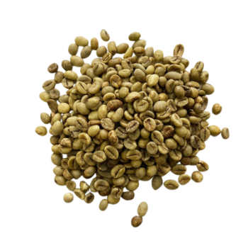 Customized Packaging Coffee Green Beans All Size Raw Good Scent Drinks Iso Brc Haccp Halal Vietnamese Manufacturer 5