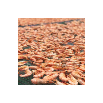 Good Quality  Dried River Shrimp Natural Fresh Customized Size Prawn Natural Color Made In Vietnam Manufacturer" 1