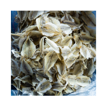 Dried Fish From Viet Nam Yellow Croaker Fish Cheap Price Export Ly Huynh Tasty Vacuum Pack From Vietnam Manufacturer 4