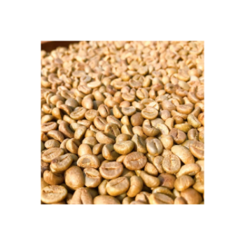 Good Price Robusta Vietnam Top Grade Caffeinated Healthy Drink Low MOQ Best Price For Export Hot Selling Brand Wholesale 1