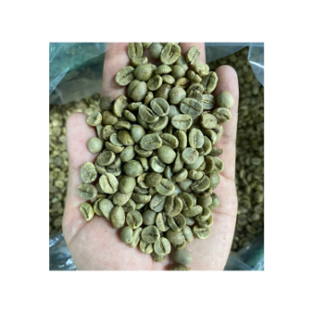 New Arabica Vietnam Top Grade Caffeinated Healthy Drink Low MOQ Best Price For Export Hot Selling Brand Wholesale 1