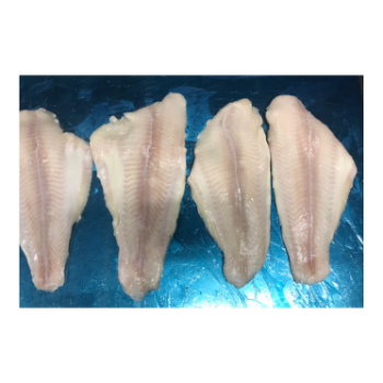 PANGASIUS Fish Fillet High Specification Nutritious For Cooking HACCP Certification Customer's Request Packing Vietnam 2