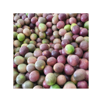 For Sale Passion Fruits Making Juice Plant Fast Delivery Cakes Fresh Fruit Passion Fruit Natural Fresh Organic  Packaging Box VietNam Manufacture Best Sale 7