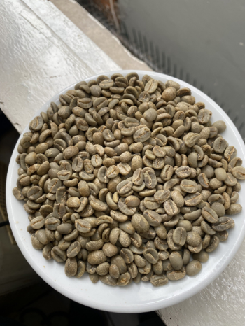 Green Arabica Coffee Beans Vietnamese High Quality Cheap Bulk 98% Maturity Arabica Coffee Bean Price For Sale 5