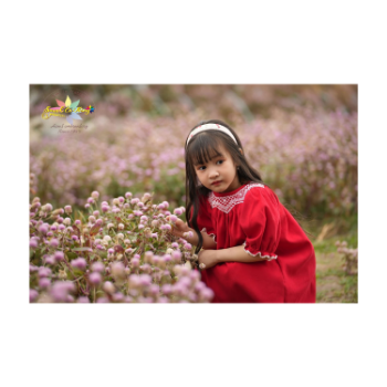 Smock Velvet Smock With Long Sleeves Girls Party Dresses Princess Children Cheap Price Luxury Using For Baby Girl Baby 9