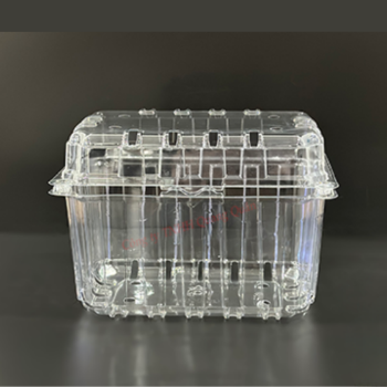 Eco Friendly Biodegradable Clear Boxes Disposable Pet Container Packaging Clamshell Plastic Fruit Made In Vietnam 1