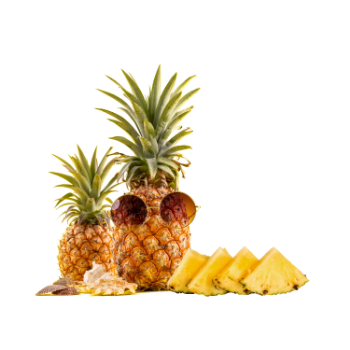 Fresh Pineapple Low Calorie Delicious Food Vinagreen Tropical & Sub-Tropical Fruit Packing In Carton/ Mesh Made In Vietnam Bulk 5