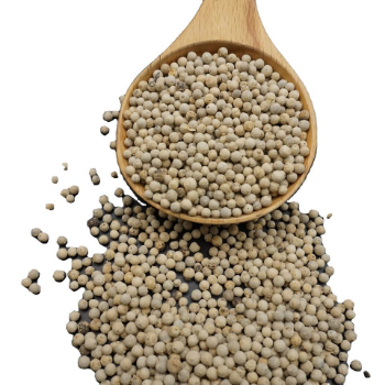 Raw Dried White Pepper Spice Wholesale Food Fast Delivery Export Customized Packing From Vietnam Manufacturer