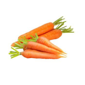 Fresh Carrots Fresh Good Choice   Tasty Food Vinagreen Customized Packing From Vietnam Bulk Low Calories