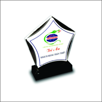 Acrylic Cutting Trophy High Specification Special Custom Business Gift Customized Packing Vietnam Manufacturer 2