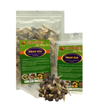 Organic Sublimation Dried Black Termite Mushrooms Nature Fresh Mushroom Growing High Quality No Preservatives Made In Vietnam 4