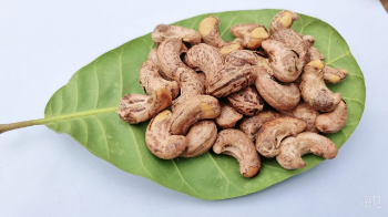 New Cashew Kernels Top Grade Organic Nuts Using For Food Cashew Kernels Packaging Carton & Vacuum PE Vietnam Manufacturer