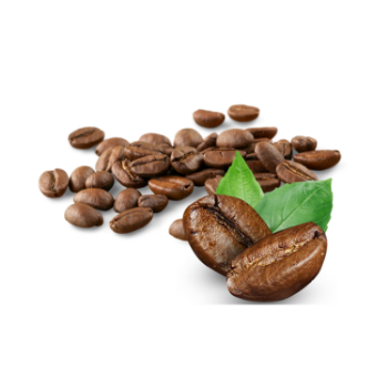 Coffee Beans Rich Caffeine Tasty Food Top Selling Product Customized Packing From Vietnam Manufacturer 6