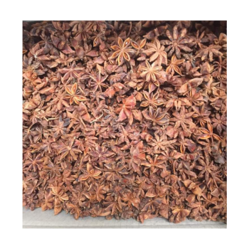 Broken Star Anise High Quality Star Spice Anise Odm Service Premium Grade Safe For Health Made In Vietnam Manufacturer 3