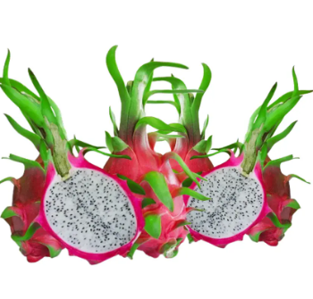 Dragon Fruit For Sale Wholesale Delicious For Dessert Export Carton Box Wooden Packaging Vietnam Manufacturer 4