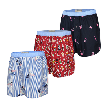 High Quality Patterned Sleep Boxers Fashion Men Wear Customized Sports Man Home Pants Clothing From Vietnam Manufacturer 7