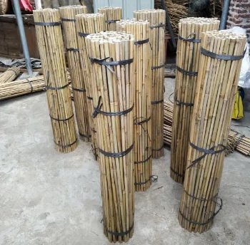 Bamboo poles used for agriculture, bamboo poles used to build trellis for plants, diameter 1.2-3cm, length1.5-3m
