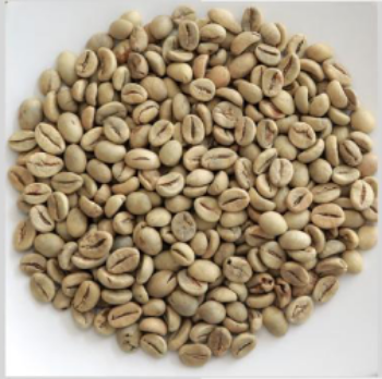 Customized Packaging Coffee Green Beans All Size Raw Good Scent Drinks Iso Brc Haccp Halal Vietnamese Manufacturer 8