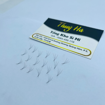 Thuy Ha Eyelashes Extension Mi Fan 3D 0.07 1000 Fans OEM ODM Service extension tool fan 1