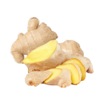 Fresh Ginger Fresh Best Quality Fast Delivery Good Heath Tasty For Cooking Vinagreen Customized Packing Vietnam 1