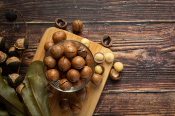 Wholesales Premium Grade High Quality Macadamia Nuts With Shell Raw Organic Bulk Nuts Macadamia Nuts From Vietnam Manufacturer 1