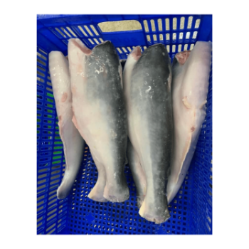 PANGASIUS HGT Wholesale Best Choice Delicious Taste Used For Cooking HACCP Certification Customized Packing Vietnam Manufacturer 6