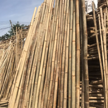 Best Choice Strong Factory Natural Bamboo Poles Straight for Construction For Cheap Price Natural Straight Bamboo Pole 5